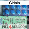 Cidala new02